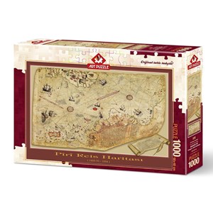 Art Puzzle (4308) - "The Piri Reis Map" - 1000 brikker puslespil