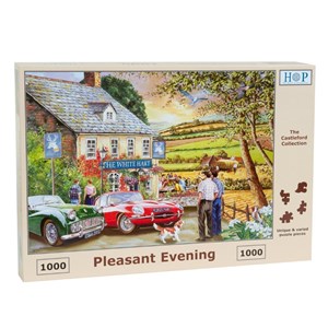 The House of Puzzles (4067) - "Pleasant Evening" - 1000 brikker puslespil