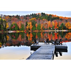 Grafika Kids (01199) - "Zen Moment" - 12 brikker puslespil