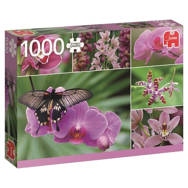Jumbo (18354) - "Holland Orchids" - 1000 brikker puslespil