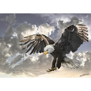 Art Puzzle (4167) - "Black and White" - 500 brikker puslespil