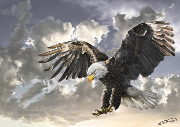 Art Puzzle (4167) - "Black and White" - 500 brikker puslespil