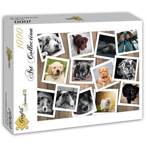 Grafika (T-00380) - "Dogs" - 1000 brikker puslespil