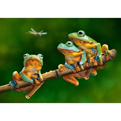 Castorland (B-52301) - "The Frog Companions" - 500 brikker puslespil