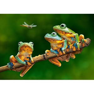Castorland (B-52301) - "The Frog Companions" - 500 brikker puslespil