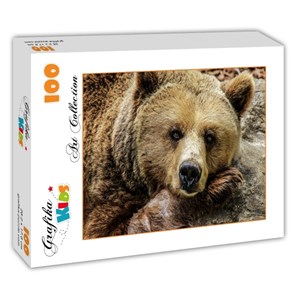 Grafika Kids (00799) - "Bear" - 100 brikker puslespil