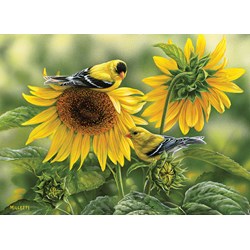 Cobble Hill (51818) - Rosemary Millette: "Sunflowers and Goldfinches" - 1000 brikker puslespil