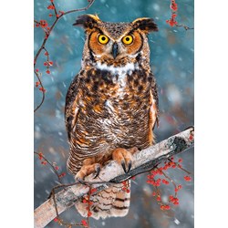 Castorland (B-52387) - "Great Horned Owl" - 500 brikker puslespil