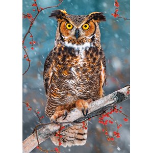 Castorland (B-52387) - "Great Horned Owl" - 500 brikker puslespil