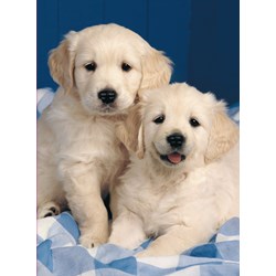 Ravensburger (14238) - "Golden Retriever" - 500 brikker puslespil