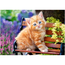Castorland (B-52240) - "Ginger Kitten" - 500 brikker puslespil