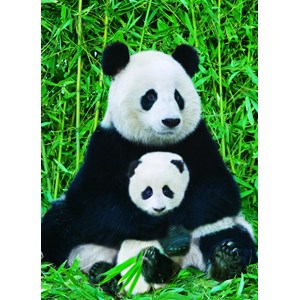 Eurographics (6000-0173) - "Panda and Baby" - 1000 brikker puslespil