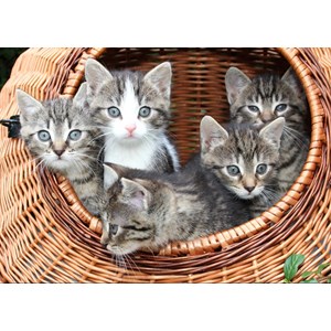 Grafika Kids (00522) - "Kittens in a Basket" - 24 brikker puslespil
