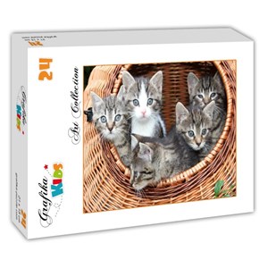 Grafika Kids (00522) - "Kittens in a Basket" - 24 brikker puslespil