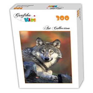 Grafika Kids (00515) - "Wolf" - 300 brikker puslespil