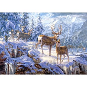 Castorland (C-102501) - "In the Middle of the Forest" - 1000 brikker puslespil