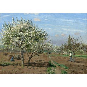 Grafika (02028) - Camille Pissarro: "Orchard in Bloom, Louveciennes, 1872" - 1000 brikker puslespil