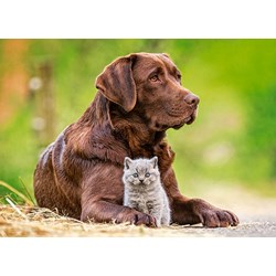 Castorland (B-13326) - "Big and Little" - 120 brikker puslespil