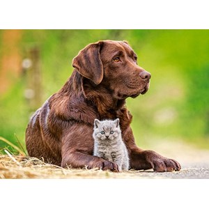 Castorland (B-13326) - "Big and Little" - 120 brikker puslespil