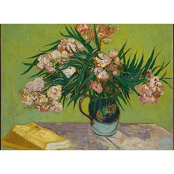 Grafika Kids (00438) - Vincent van Gogh: "Oleanders,1888" - 300 brikker puslespil