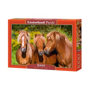 Castorland (C-103959) - "Horse Friends" - 1000 brikker puslespil