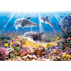 Castorland (B-52547) - "Dolphins Underwater" - 500 brikker puslespil