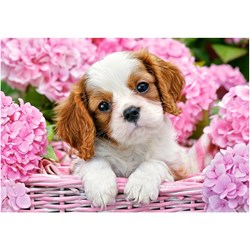 Castorland (B-52233) - "Pup in Pink Flowers" - 500 brikker puslespil