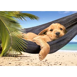 Castorland (B-52554) - "Leisure Time" - 500 brikker puslespil