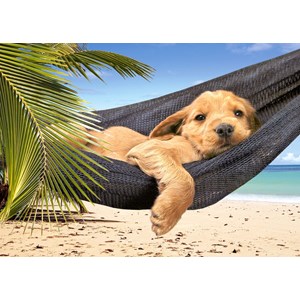 Castorland (B-52554) - "Leisure Time" - 500 brikker puslespil