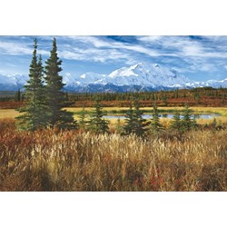 Educa (16008) - Rodney Lough Jr.: "Denali National Park" - 1500 brikker puslespil