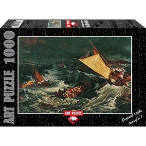 Art Puzzle (81049) - "Shipwreck" - 1000 brikker puslespil