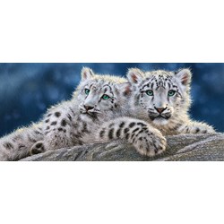 Castorland (B-060115) - "Snow Leopard Cubs" - 600 brikker puslespil