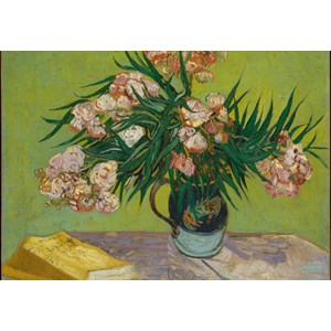 Grafika Kids (00439) - Vincent van Gogh: "Oleanders,1888" - 100 brikker puslespil