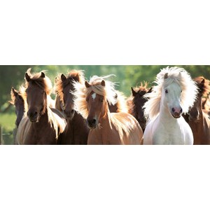 Ravensburger (15091) - "Wild Heste" - 1000 brikker puslespil