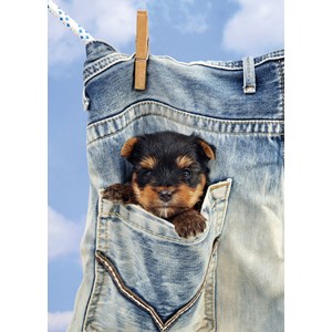 Art Puzzle (4163) - "I Get Dry!" - 500 brikker puslespil