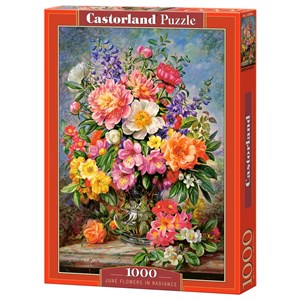 Castorland (C-103904) - "June Flowers in Radiance" - 1000 brikker puslespil