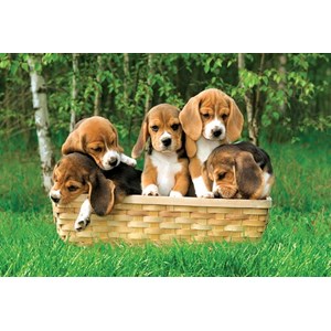 Trefl (17166) - "Beagle puppies, A Cute Basket" - 60 brikker puslespil
