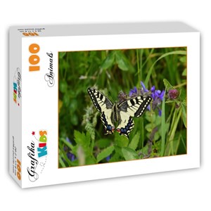 Grafika Kids (01222) - "Butterfly" - 100 brikker puslespil