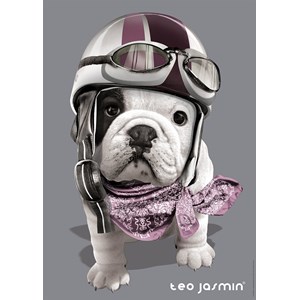 Nathan (87551) - "Teo" - 1000 brikker puslespil