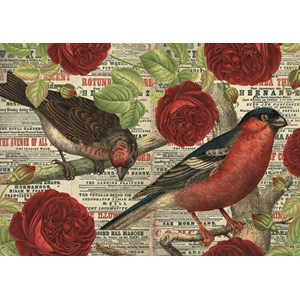 Jumbo (18398) - "Birds love flowers" - 500 brikker puslespil
