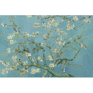 Grafika Kids (00042) - Vincent van Gogh: "Vincent van Gogh, 1890" - 100 brikker puslespil