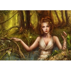 Grafika (T-00111) - Cris Ortega: "Never After" - 1000 brikker puslespil