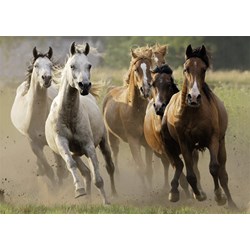 Nathan (87561) - "Herd of Wild Horses" - 1000 brikker puslespil