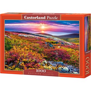 Castorland (C-103539) - "Northern Palette" - 1000 brikker puslespil