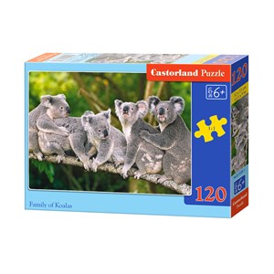 Castorland (B-13289) - "Koalas" - 120 brikker puslespil
