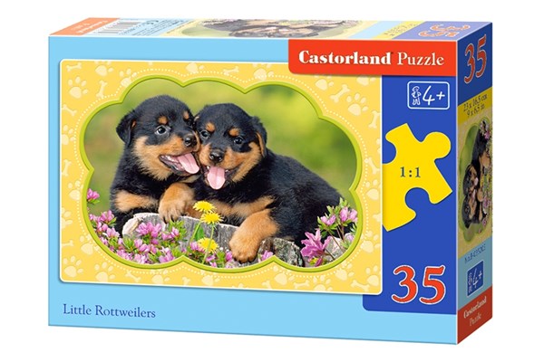 Castorland (B-035205) - "Little Rottweilers" - 35 brikker puslespil