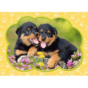 Castorland (B-035205) - "Little Rottweilers" - 35 brikker puslespil