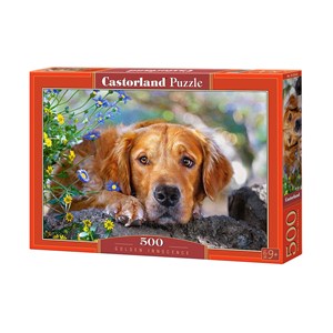 Castorland (B-52622) - "Golden Innocence" - 500 brikker puslespil