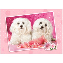 Castorland (B-13128) - "Two Doggies in Pink" - 120 brikker puslespil