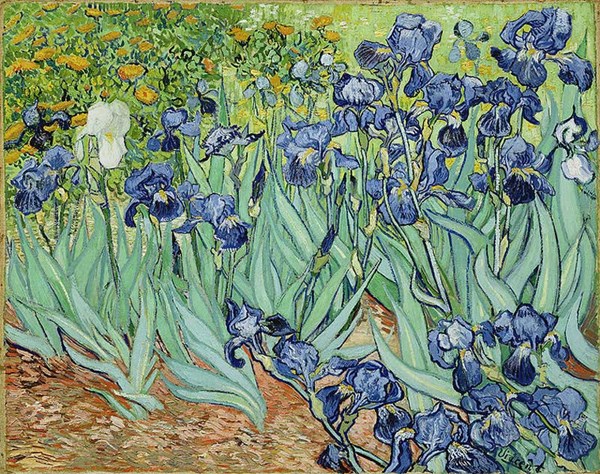 Piatnik (5331) - Vincent van Gogh: "Iris" - 1000 brikker puslespil